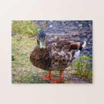 Duck Pose Puzzle puzzles