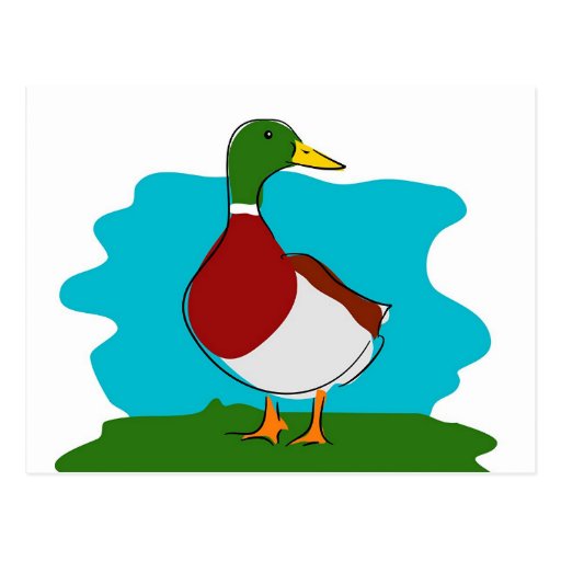 Duck Postcards