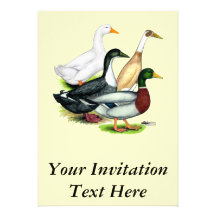 Duck Quartet Custom Invitations