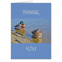 Duck Resting Thank You Card