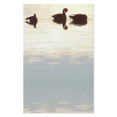 Duck Silhouettes Stationery by farmer77