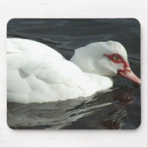 Duck Swmimming Mousepad