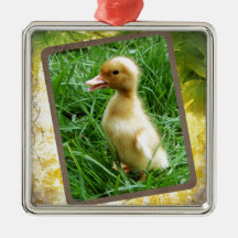 Ducking in the Grass Christmas Tree Ornament