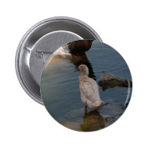 Duckling button