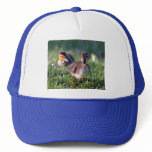 Duckling Mesh Hat