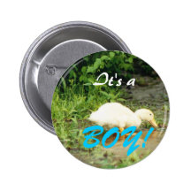 Duckling, It's a, BOY! Badge Pinback Button