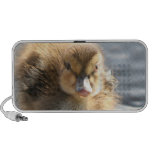 Duckling OrigAudio Doodle Speaker