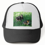 Duckling Parade Hats
