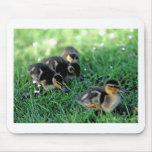 Duckling Parade Mouse Mat