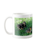 Duckling Parade Coffee Mug