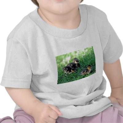 Duckling Parade T Shirt by paulnsheryl