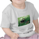 Duckling Parade t-shirts