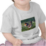 Duckling t-shirts