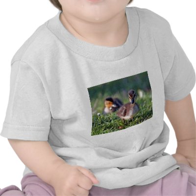 Duckling Tshirt by paulnsheryl