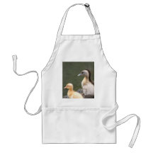 Ducklings apron