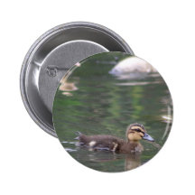 Ducklings button