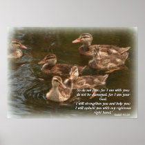 Ducklings Isaiah 41:10 Print