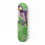 Ducklings On The Grass Skate Boards
