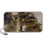 Ducklings OrigAudio Doodle Speaker