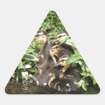 Ducklings Triangle Sticker
