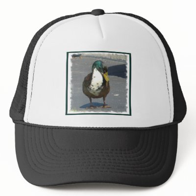 ducks 002ss mesh hat by rusty2rusty