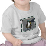 ducks 002ss tees