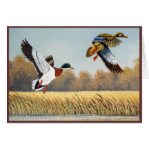 Ducks #1 greeting card