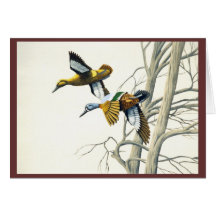 Ducks #2 greeting card