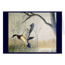 Ducks #3 greeting cards