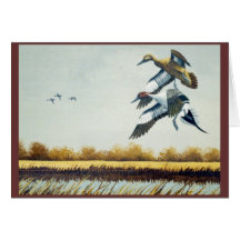 Ducks #4 cards