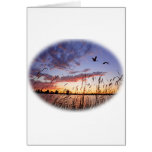 Ducks at Dawn-Duck Hunting Card
