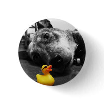 'Ducks Best Friend' Rubber Duck Button (small)