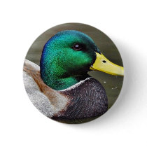 Ducks Bills Pinback Buttons