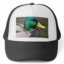 Ducks Bills Hats