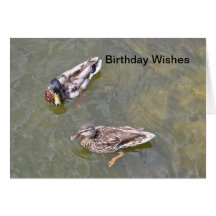 Ducks  Birthday Wishes Card