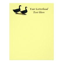 Ducks:  Black Cayugas Personalized Letterhead
