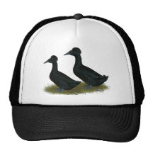 Ducks:  Black Crested Trucker Hat