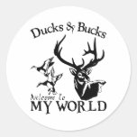 DUCKS & BUCKS STICKER
