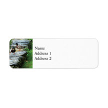 Ducks By a Pond Return Address Label