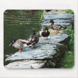 Ducks by the Pond Mousepads
