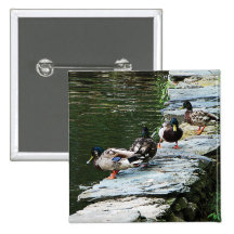 Ducks by the Pond Pins