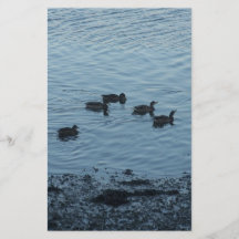 Ducks. Custom Flyer