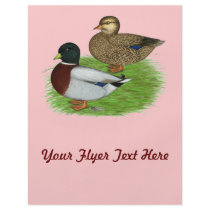 Ducks:  Grey Calls