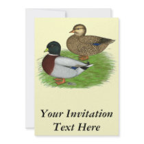 Ducks:  Grey Calls