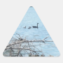 Ducks in a Lake Stickers