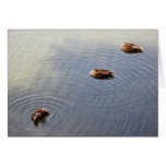 ducks in a pond greeting card