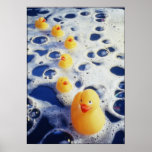 Ducks in a Row Posters