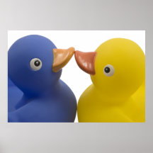 Ducks in love - poster