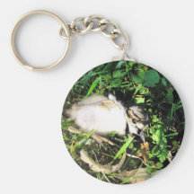 Ducks Key Chains