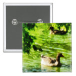 Ducks on a Tranquil Pond Buttons